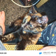 carolann_unclejays_toy_store